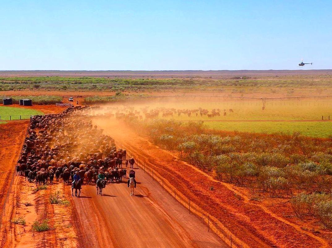 sagehillsgolfresort | Visiting Halls Creek: History and Natural Beauty