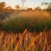 sagehillsgolfresort | Where is Uluru located in Australia? sagehillsgolfresort | Where is Uluru located in Australia?